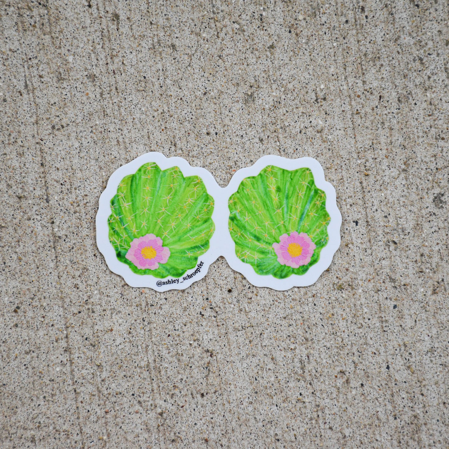 Miss Cacti Sticker